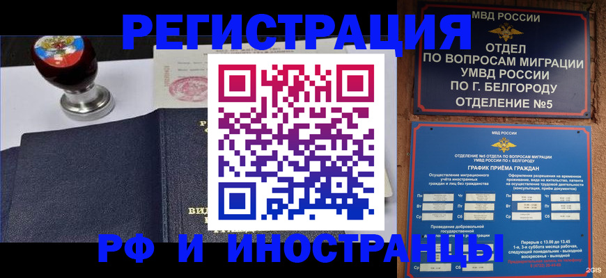 временная регистрация поиск в Мурманской области